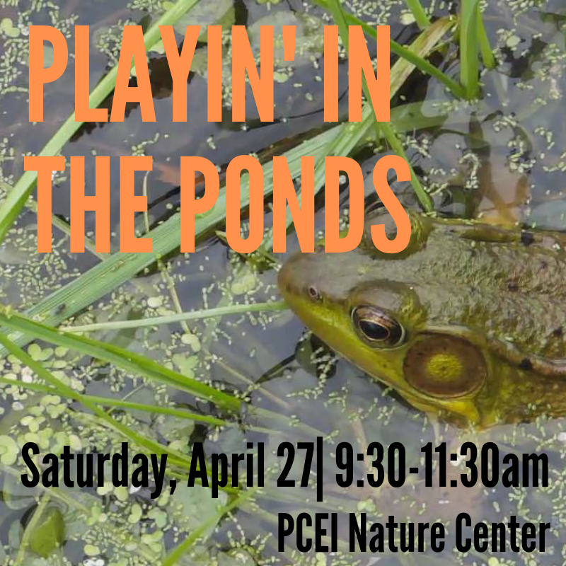 Playin' in the Ponds @ PCEI