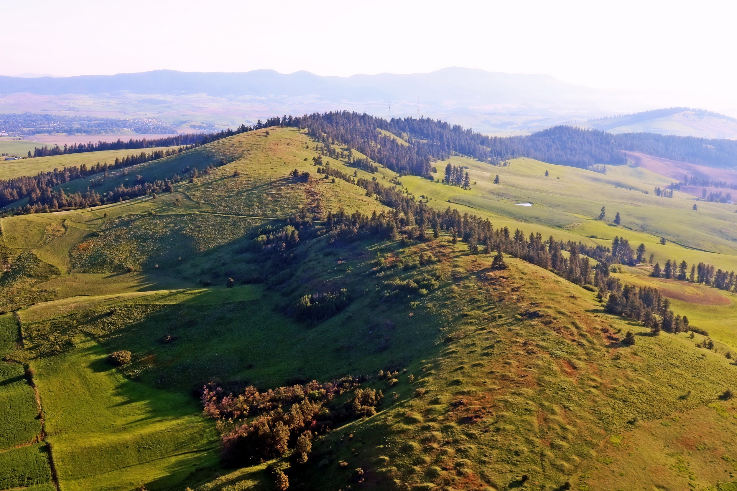 The dirt on soil at the Dave Skinner Preserve