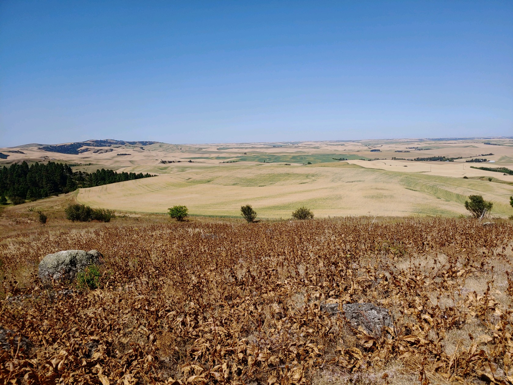 0731191030.jpg