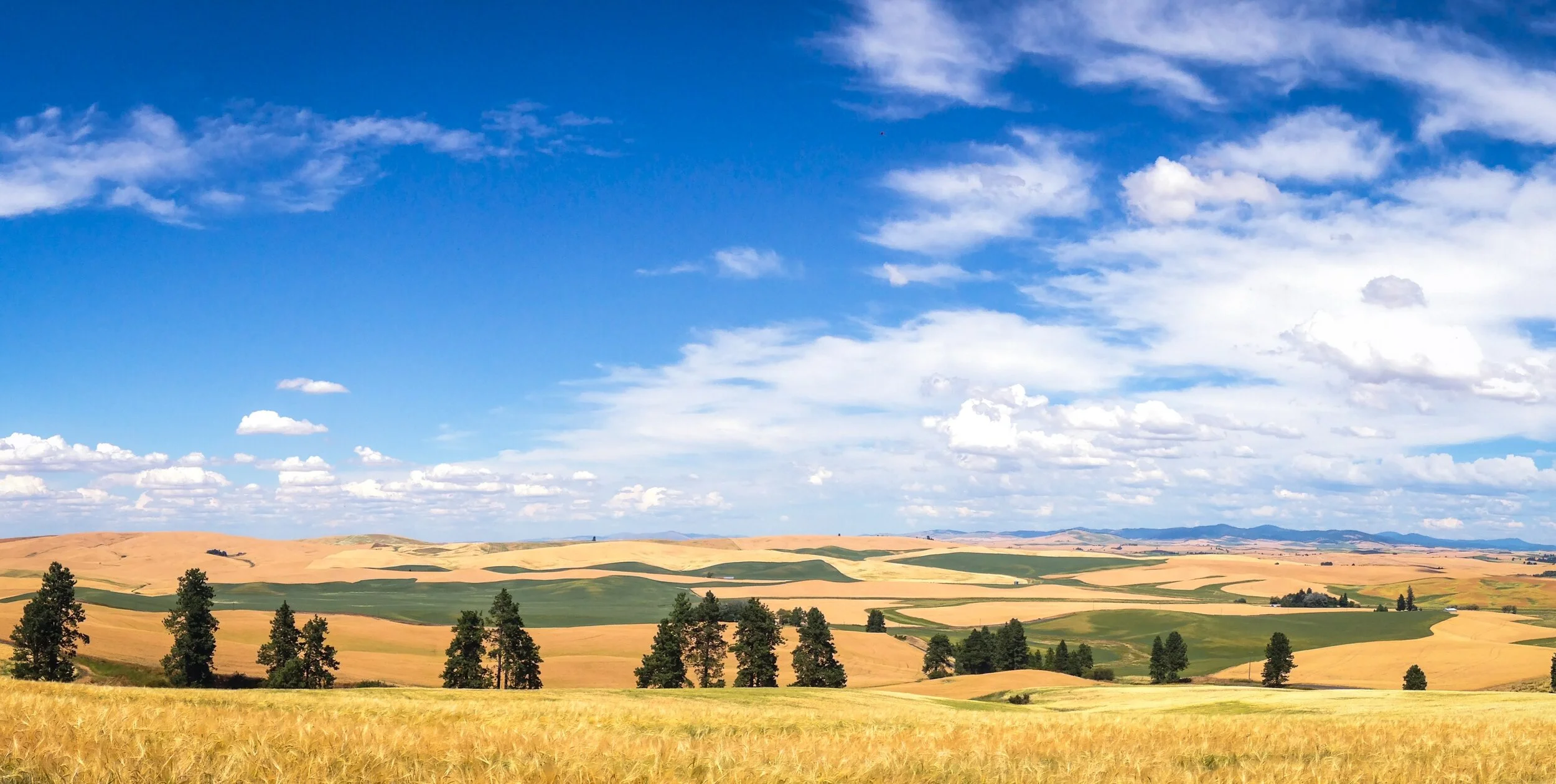 Get to know Conservation Projects Manager Karl Meyer