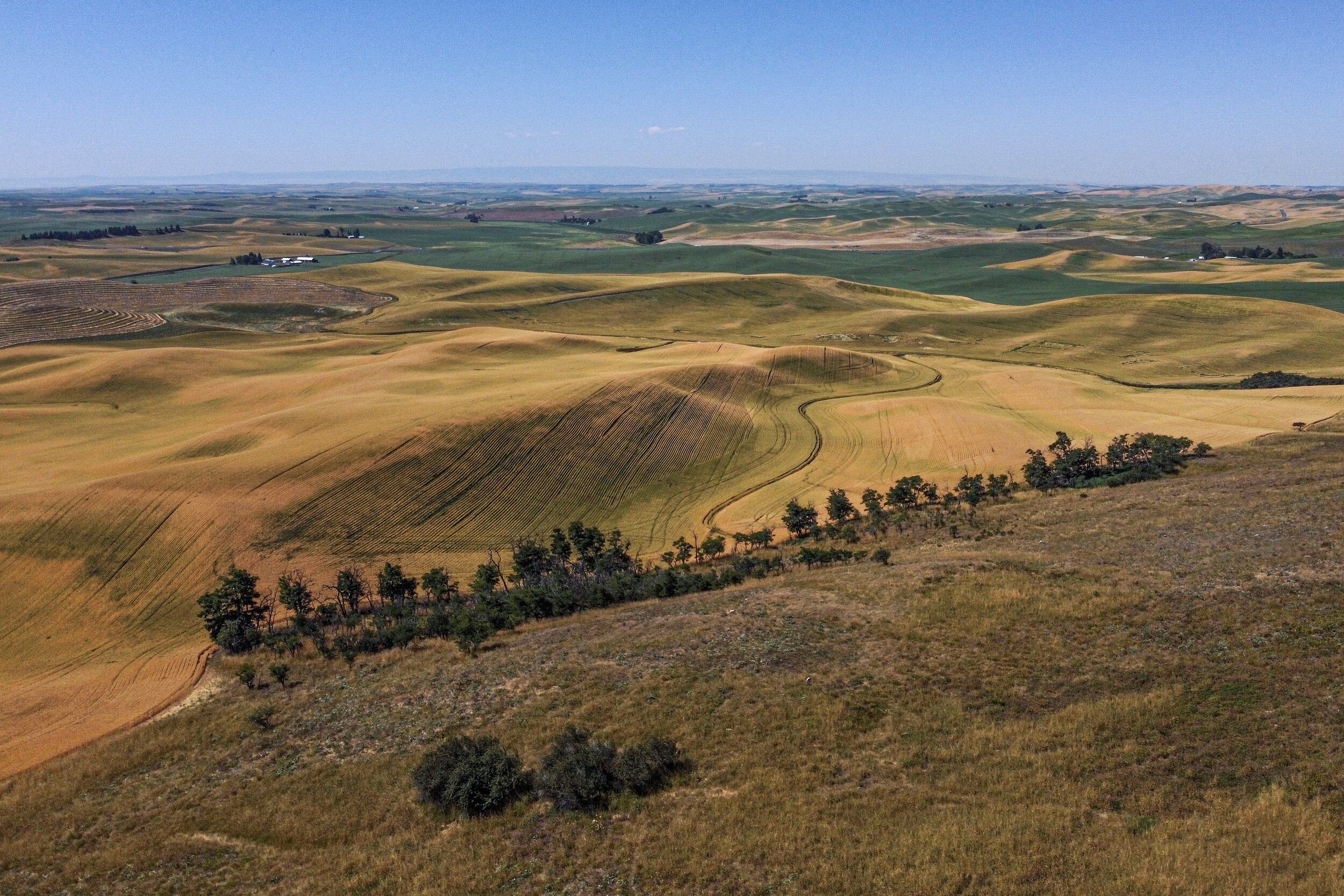 Five things I've learned in my first year at Palouse Land Trust