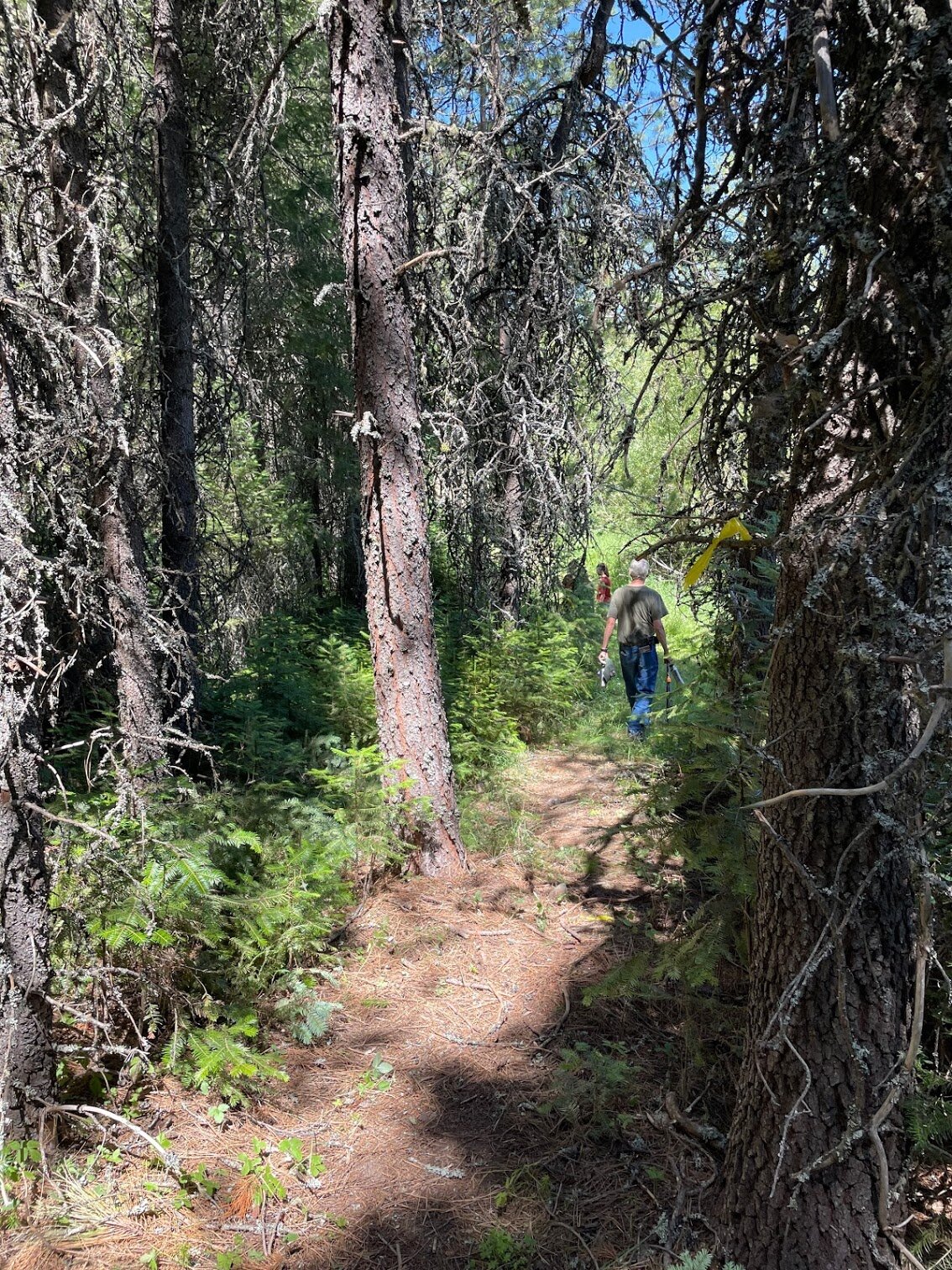 Reflections on Service