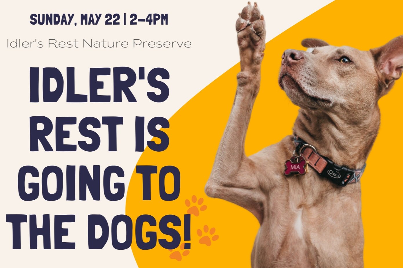 Dog Day at Idler's Rest