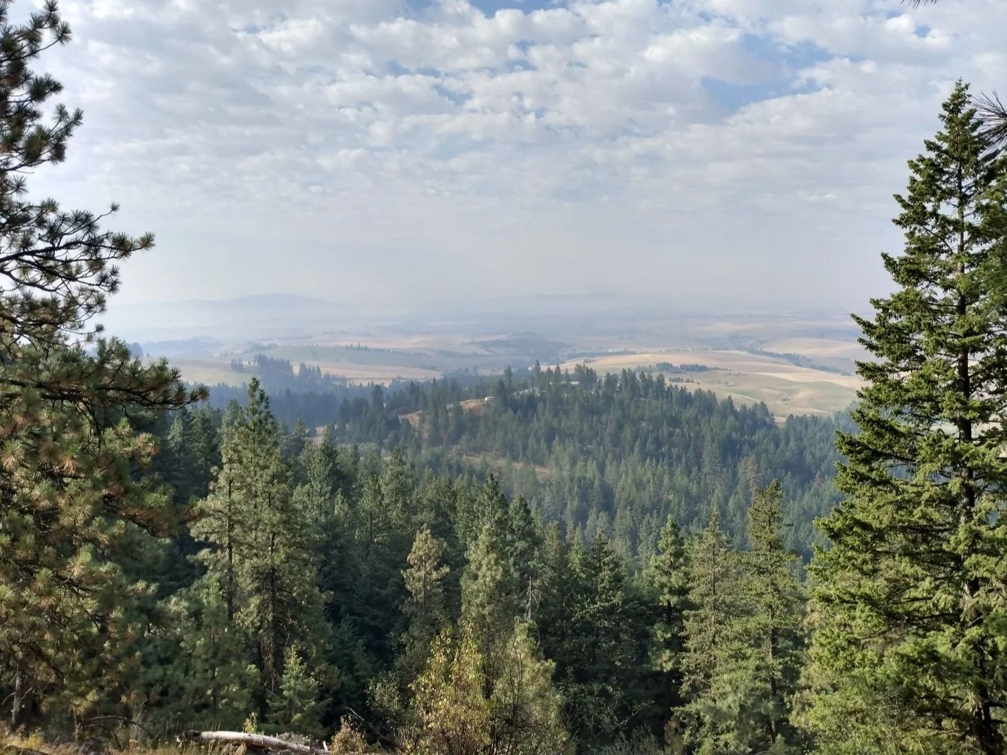 Build a Forever Trail