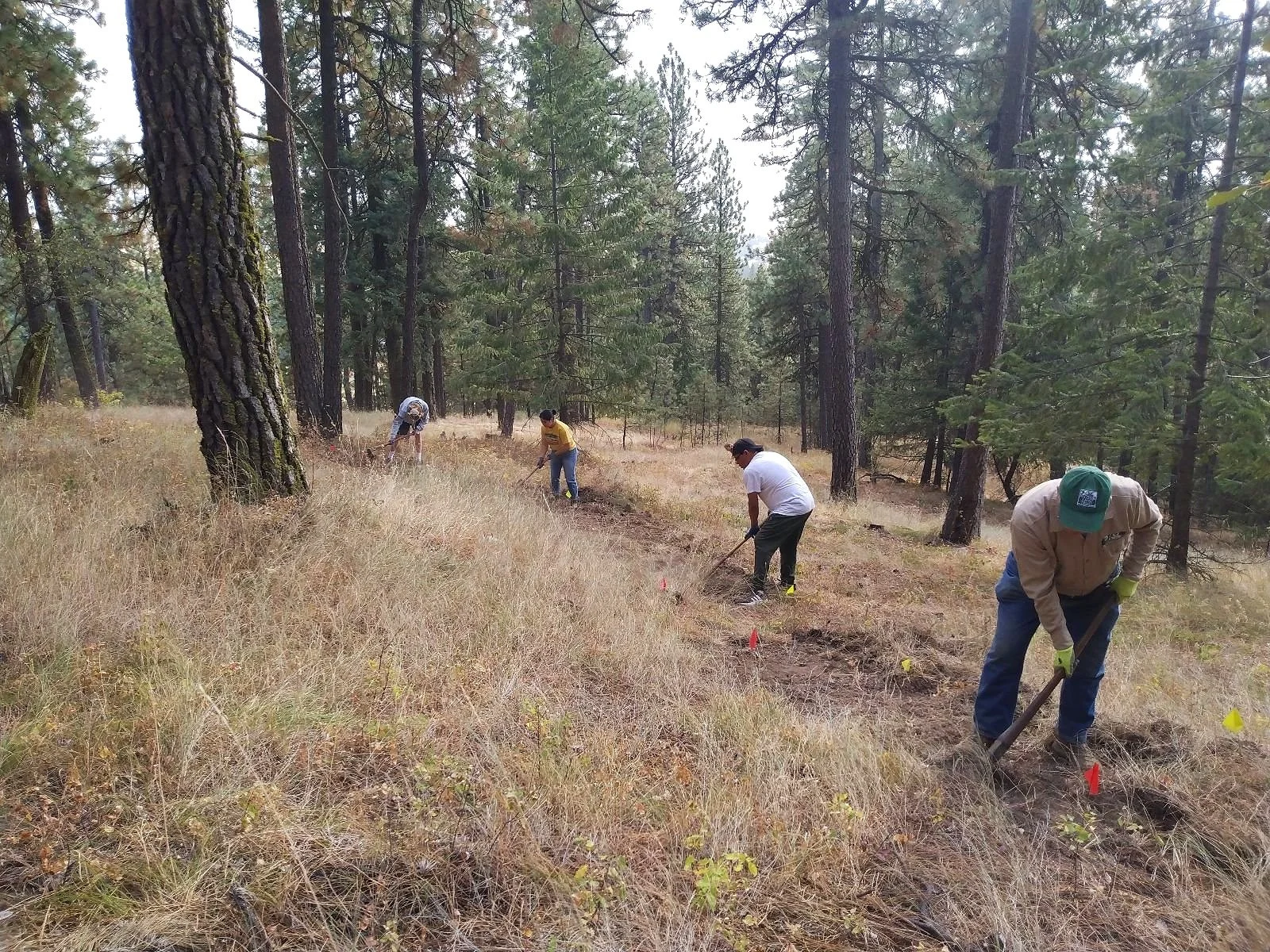 Build a Forever Trail