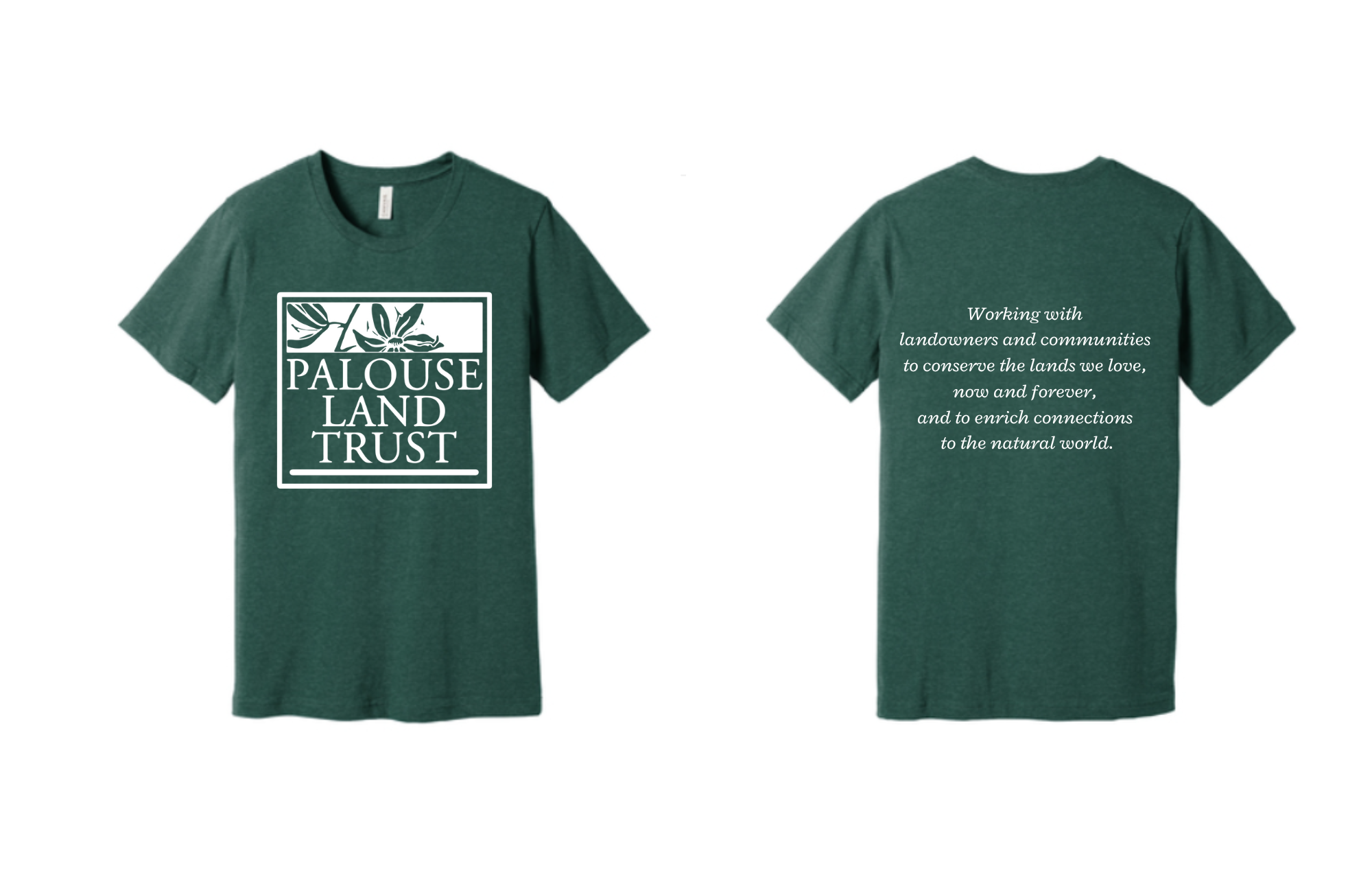 PLT t's.png
