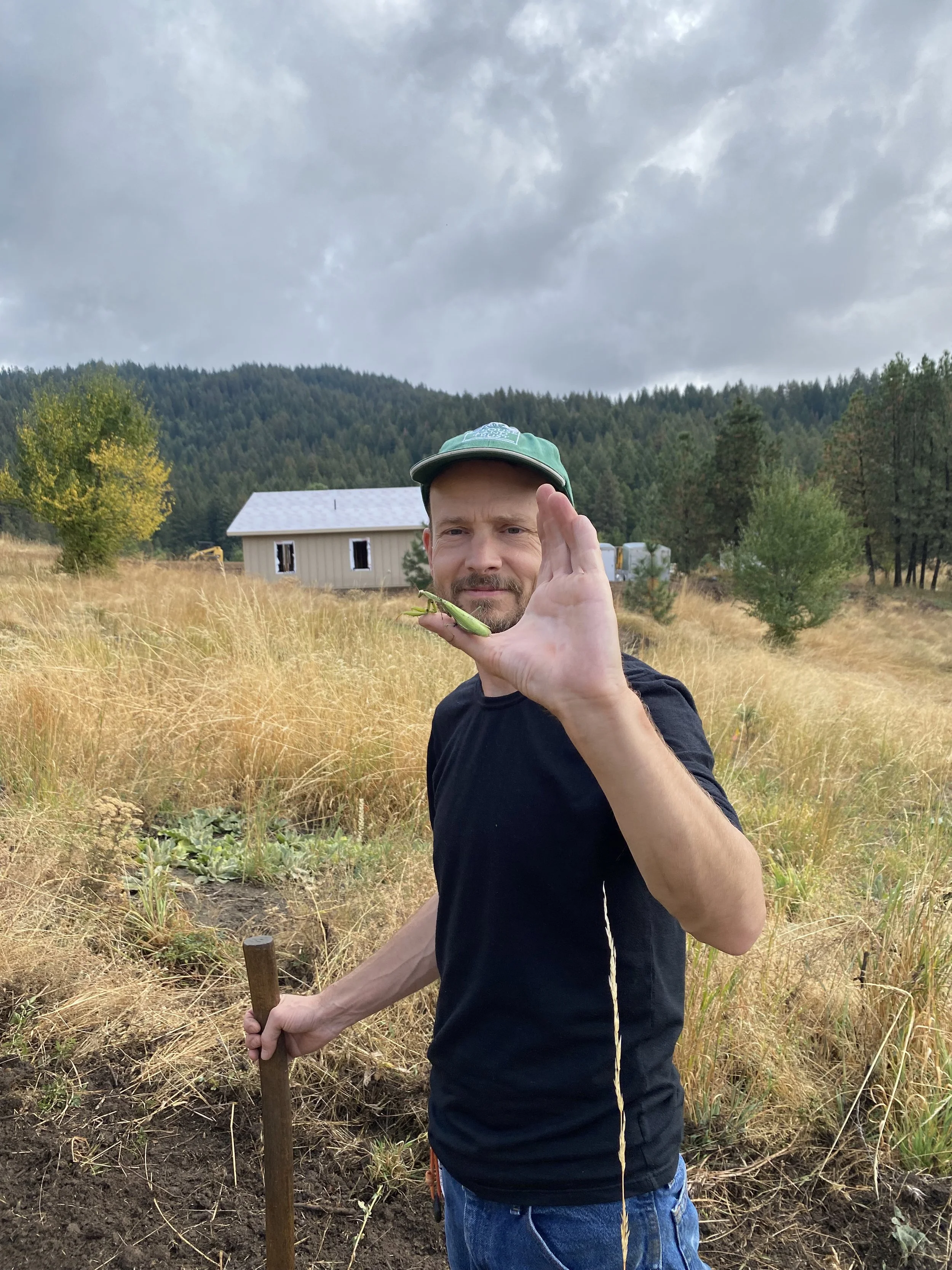 Goodnight, not goodbye