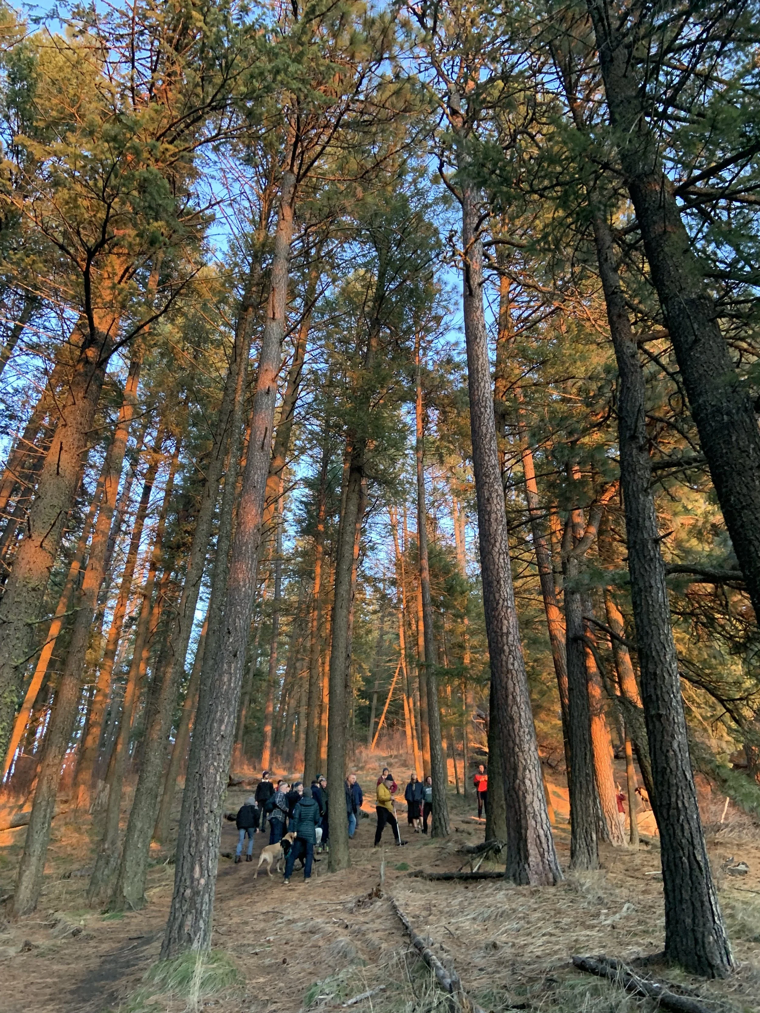 A look back - and ahead - from the PLTeam