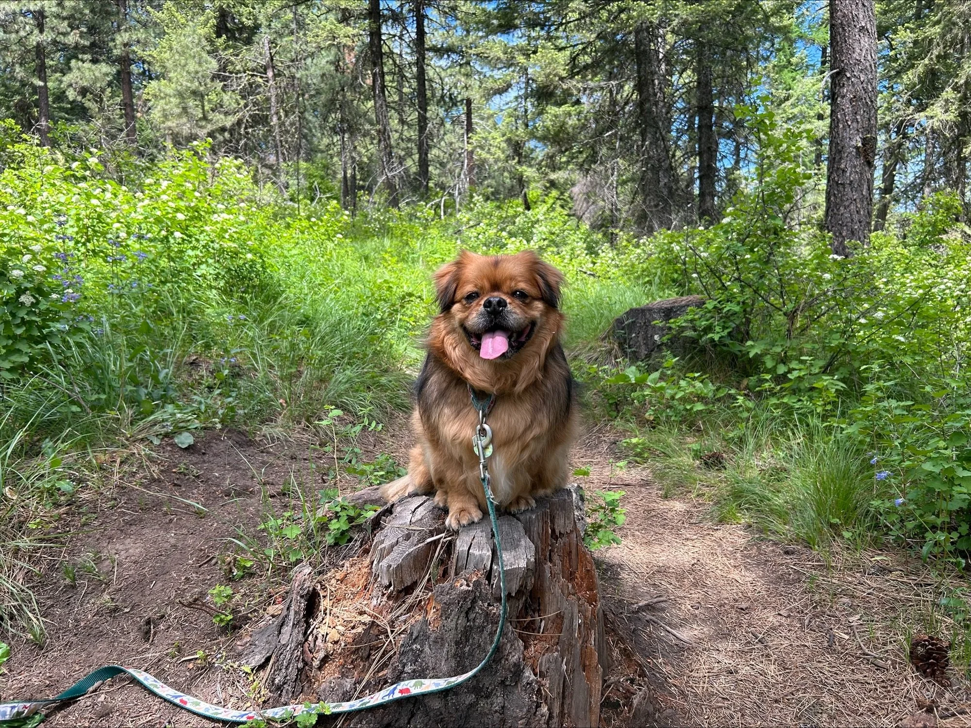 Law of the Land: Get to know Bliss Docken, Law Intern