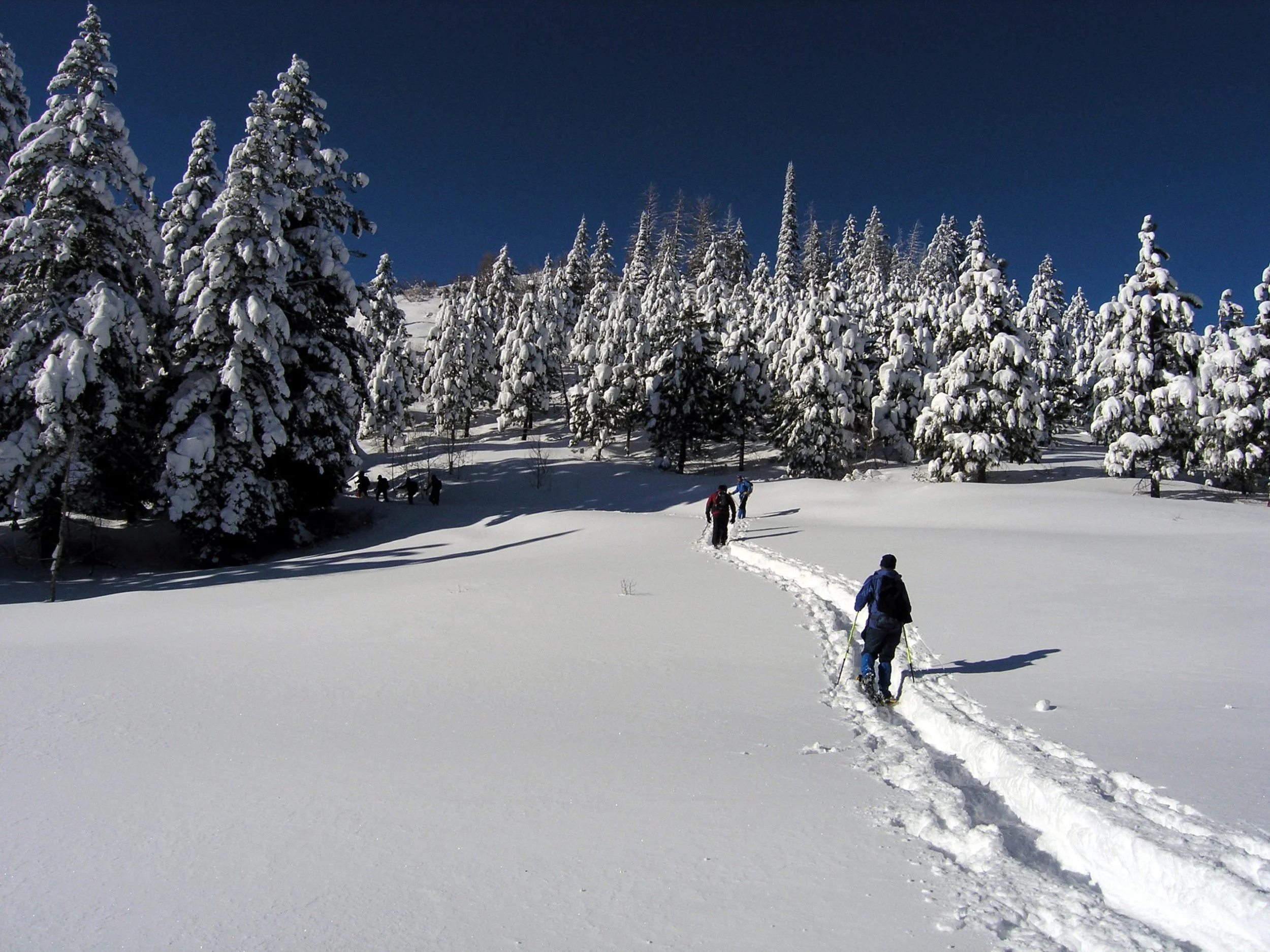 Snowshoe the Olson Family Conservation Preserve