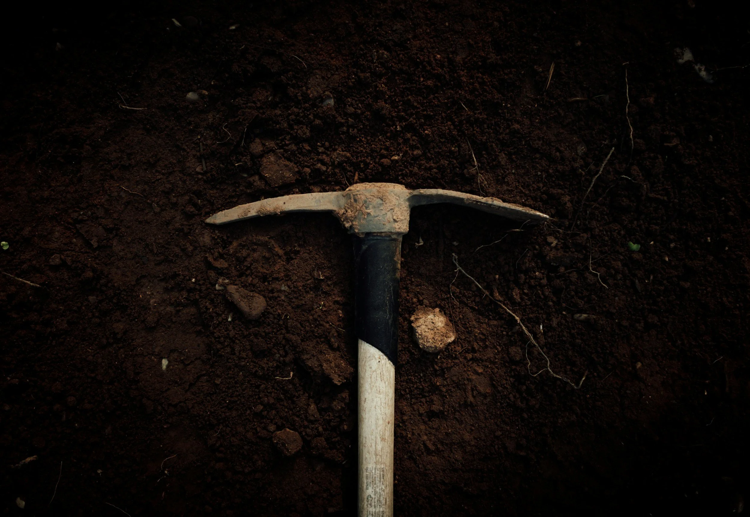 Dirt &amp; Do-Good Days: Trail Work Party