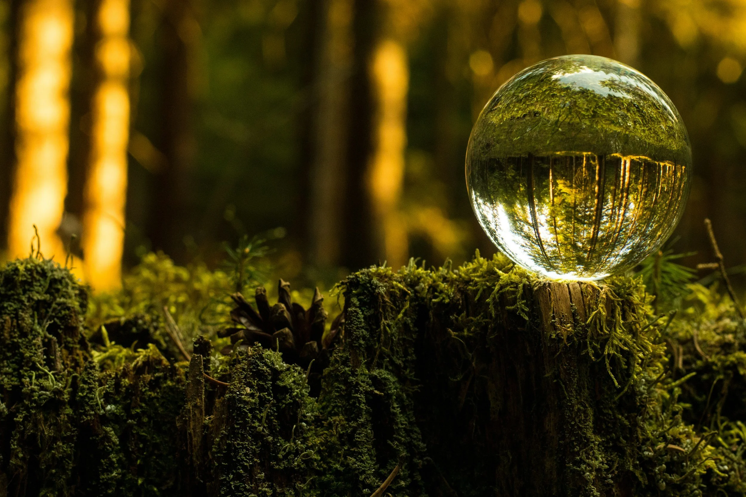 Quantum Journeying with Kathy Kwiatkowski