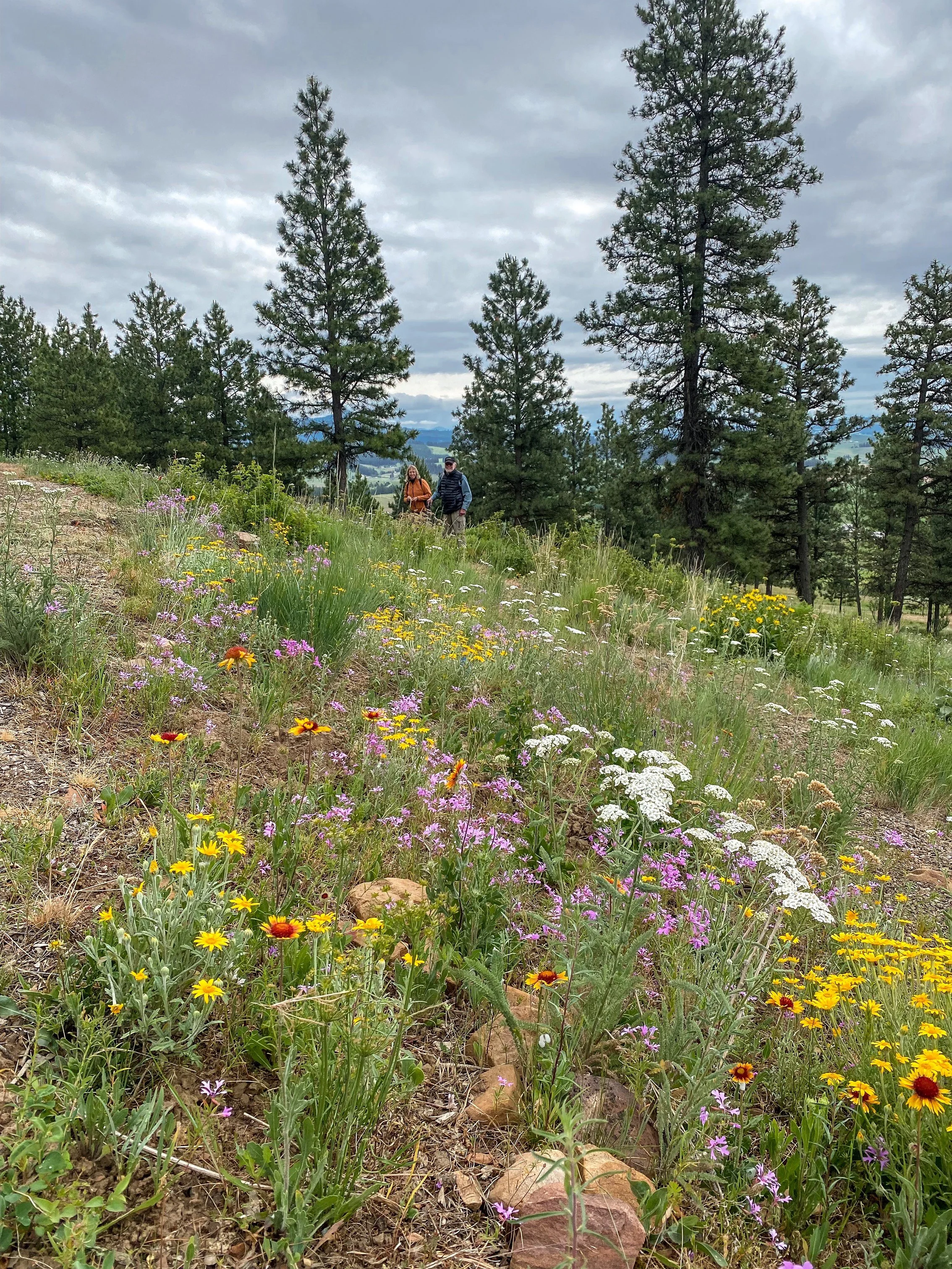 Palouse Prairie and Savanna Restoration Project