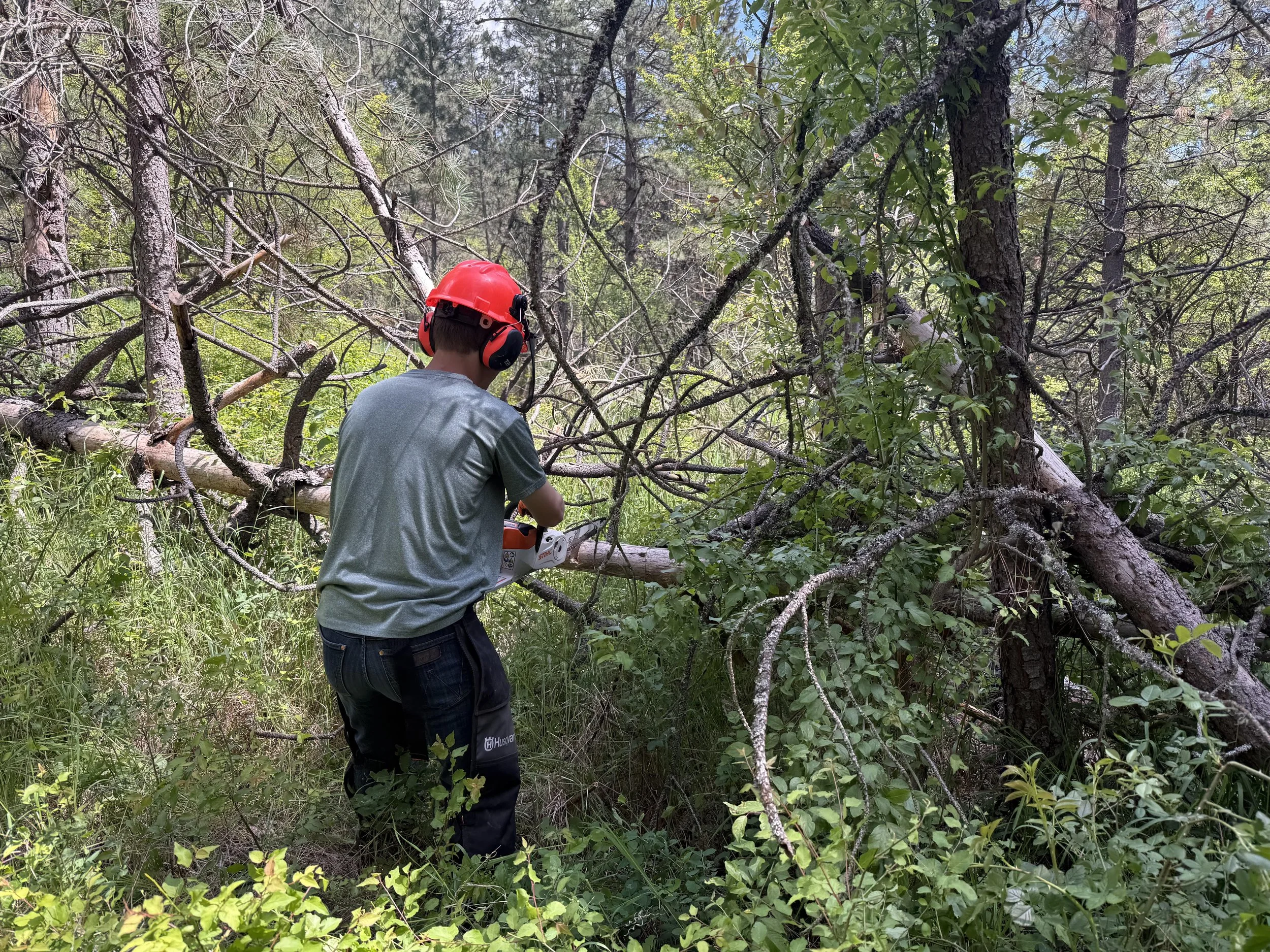 Elder Godfrey, Volunteer Lands Steward