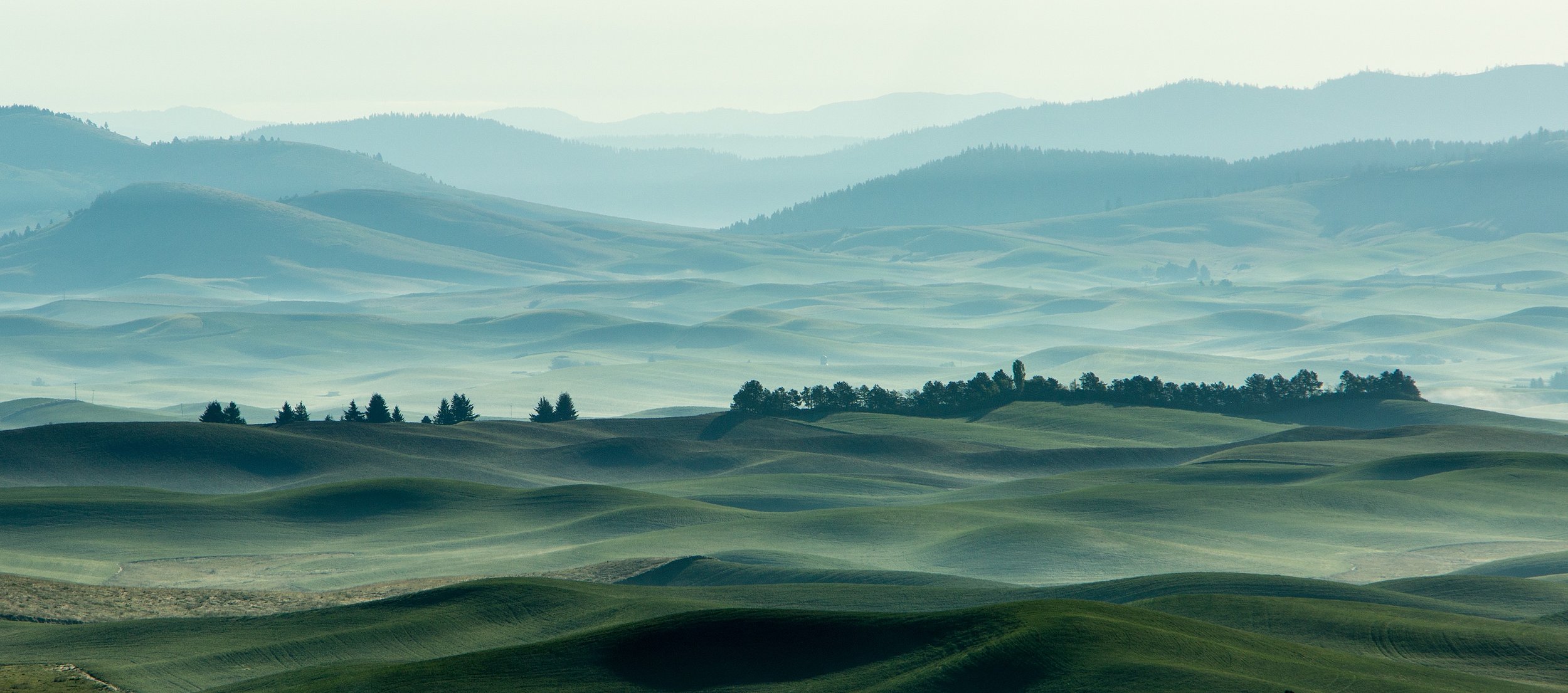 Steamy Mornings in the Palouse.jpg