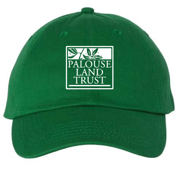 image (3).png