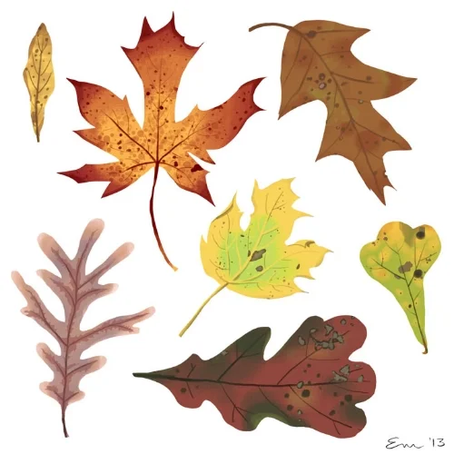 fall leaves2 small.jpg