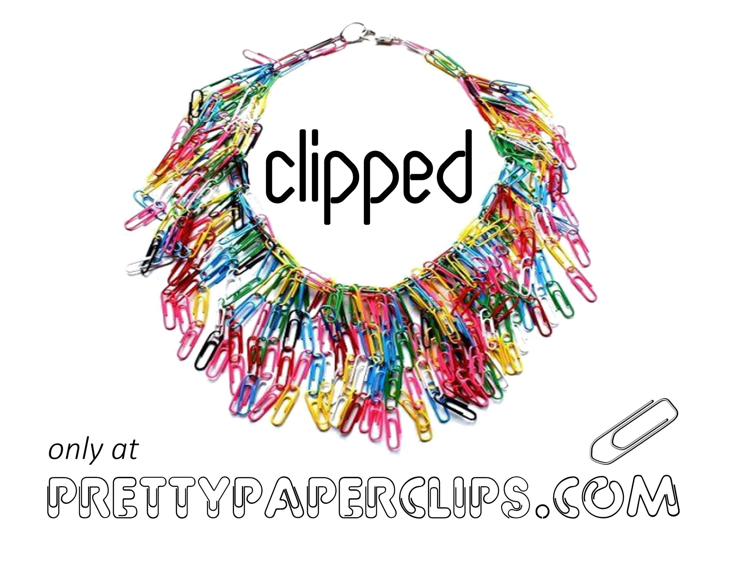 prettypaperclips2b.jpg