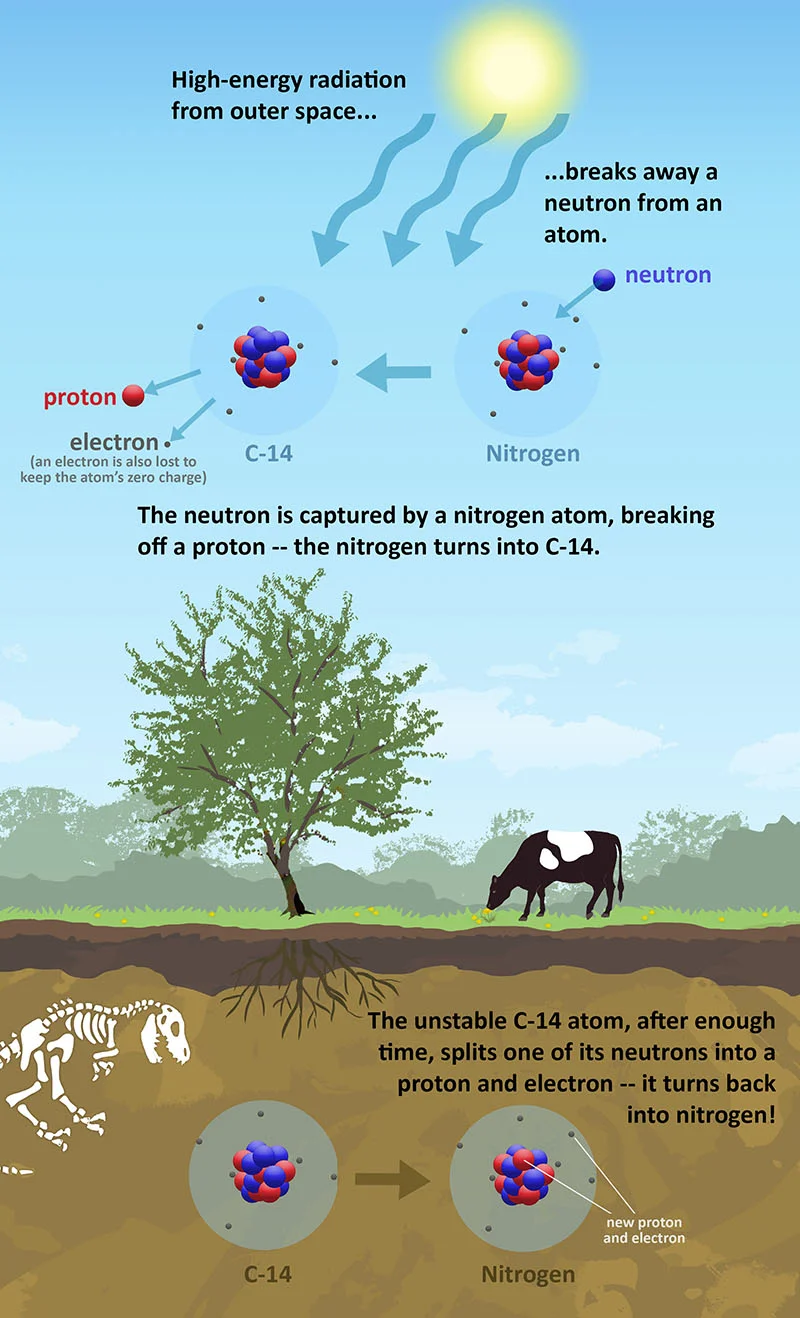 c14_nitrogen_process_small.jpg