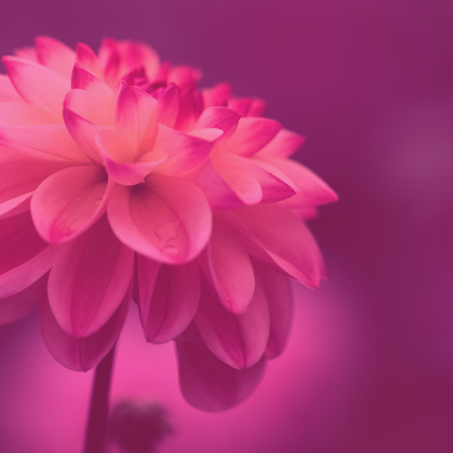 Energy Reading January 22-28, 2018