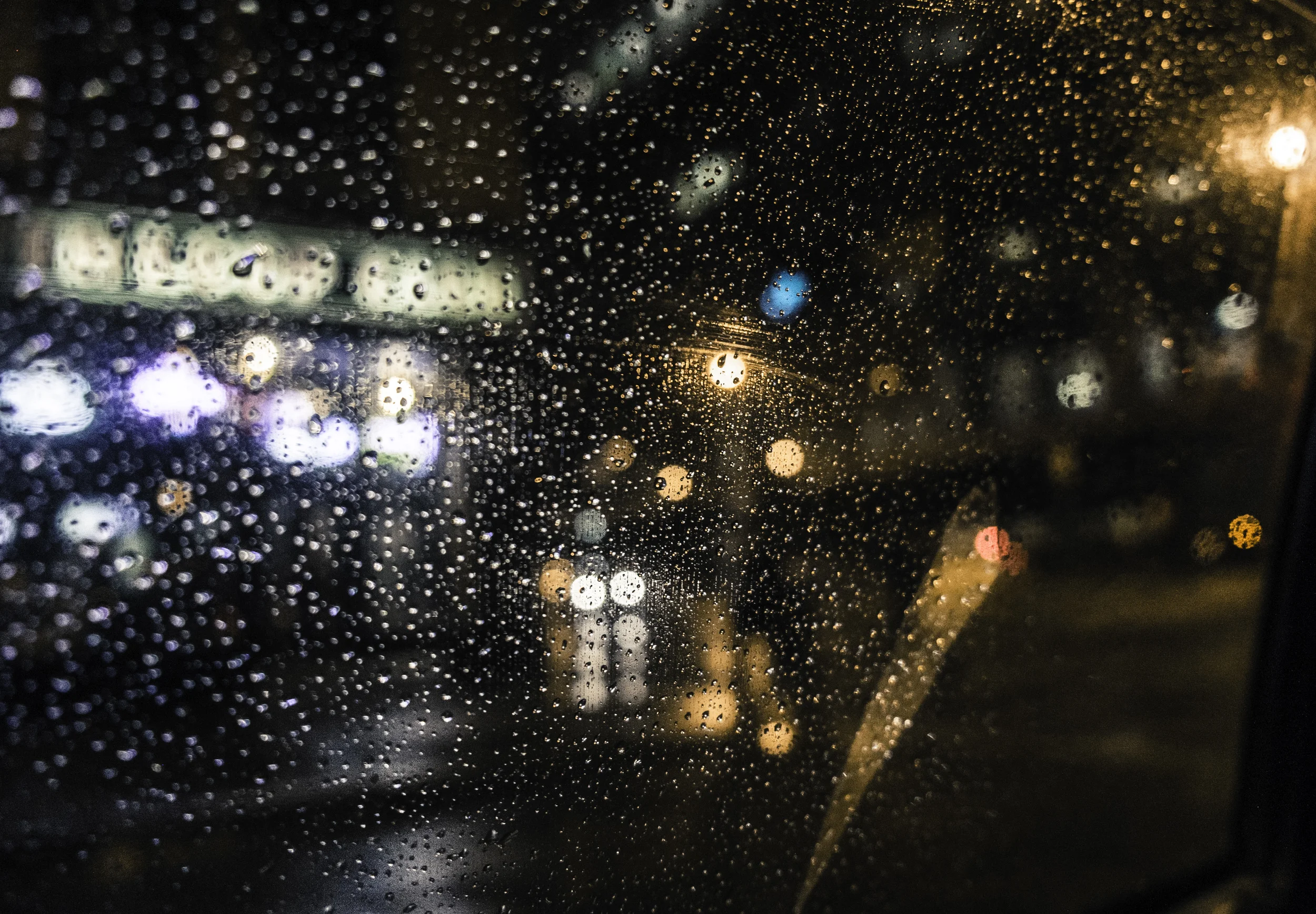 DSCF7560.jpg