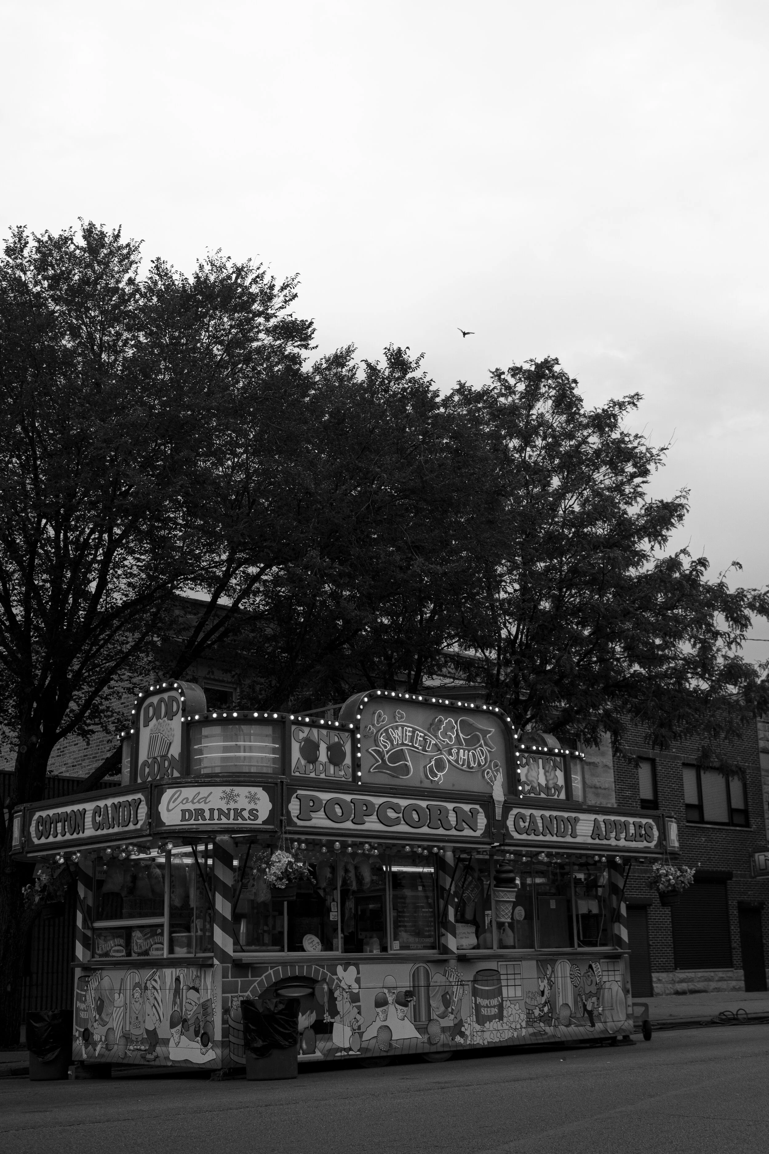 DSCF4676-2.jpg