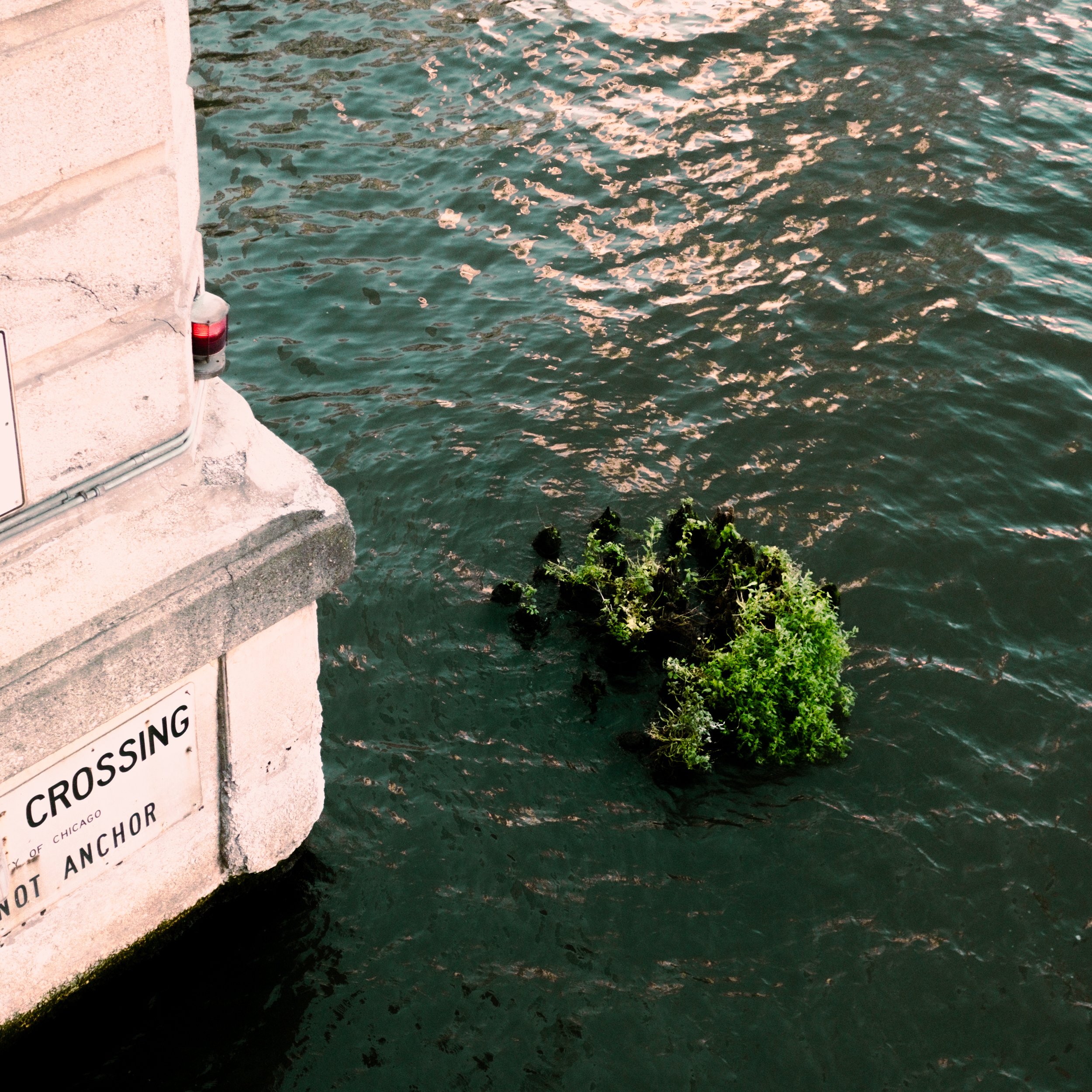 DSCF9131.jpg