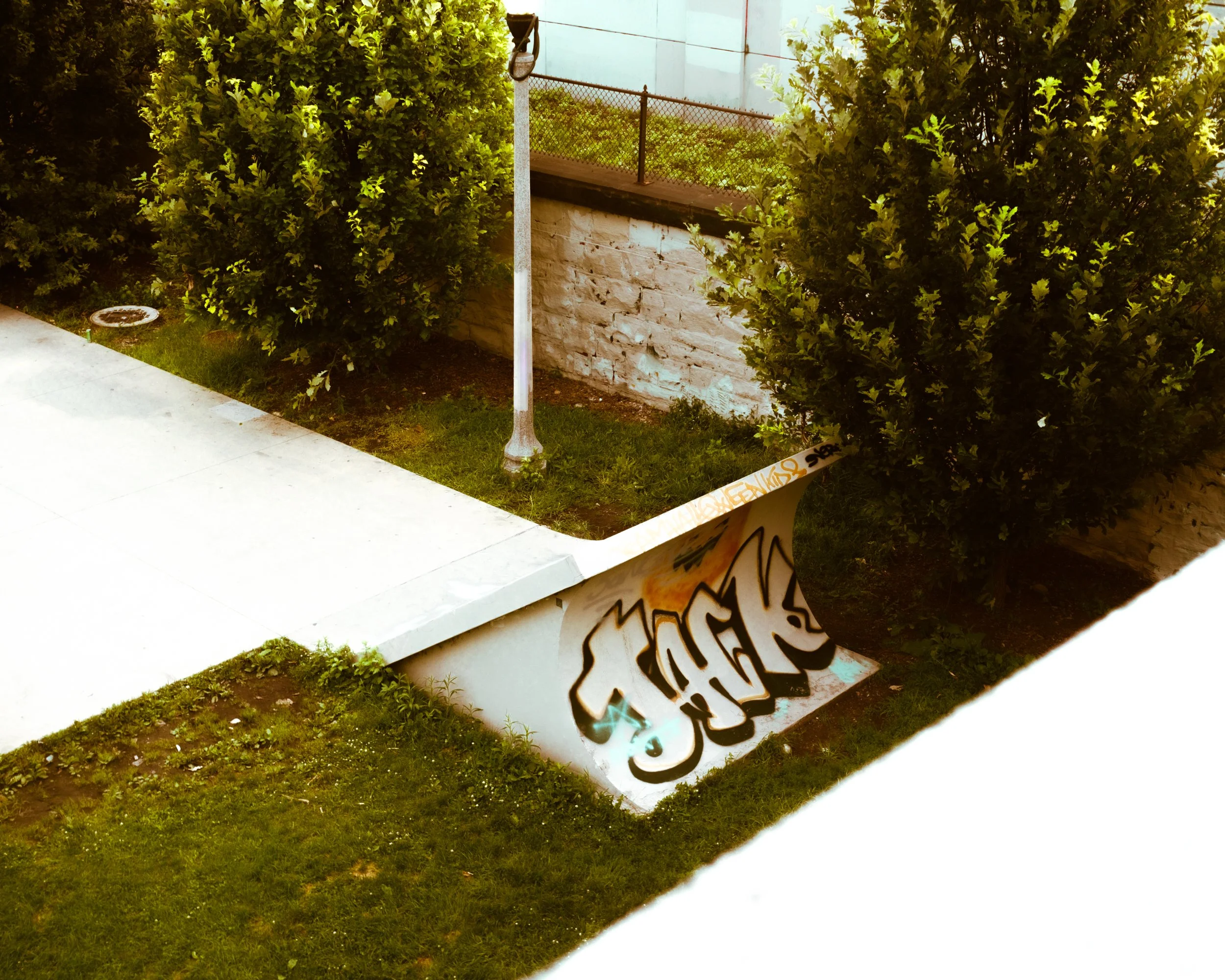DSCF6224.jpg