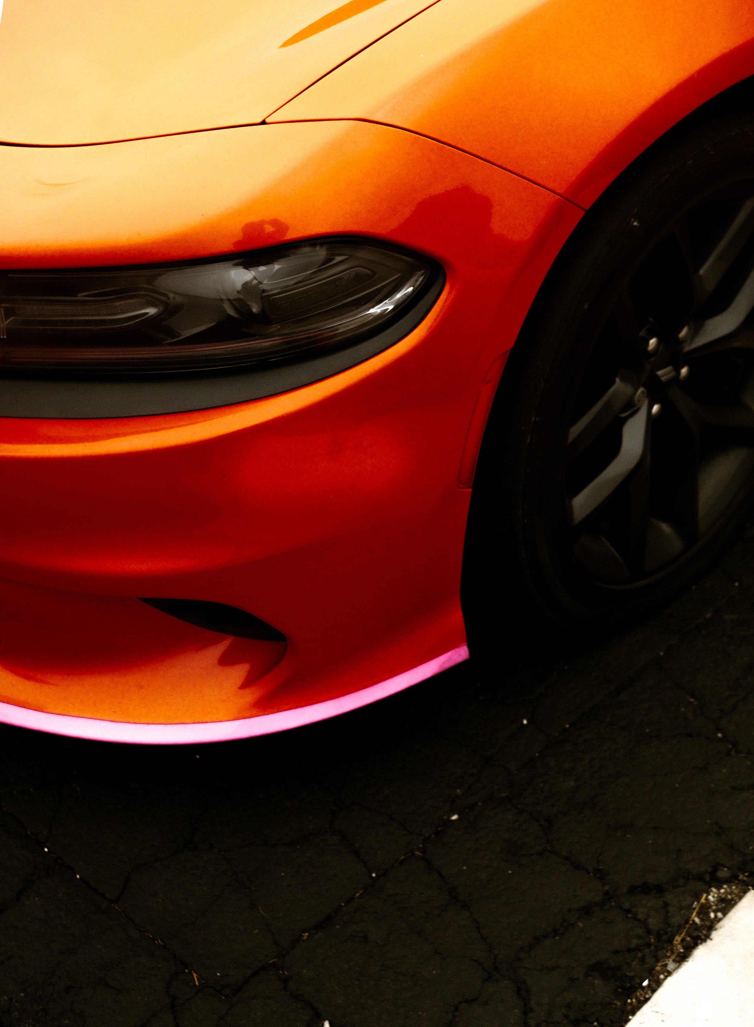 DSCF9813.jpg