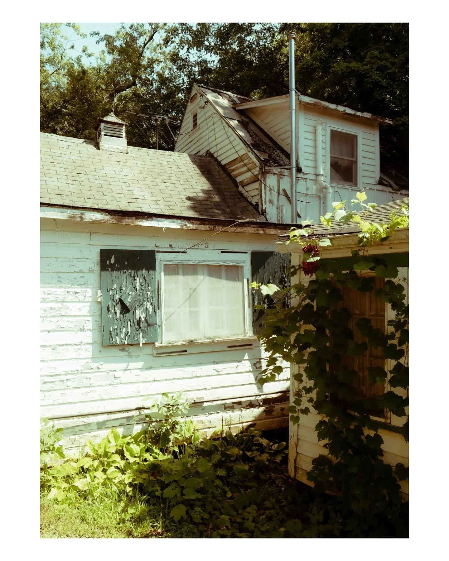 Facade/// Skin Graft
