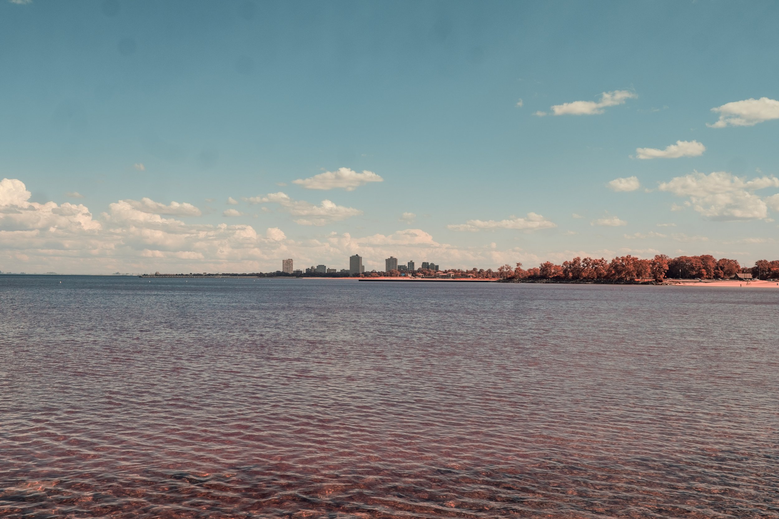 DSCF4872.jpg