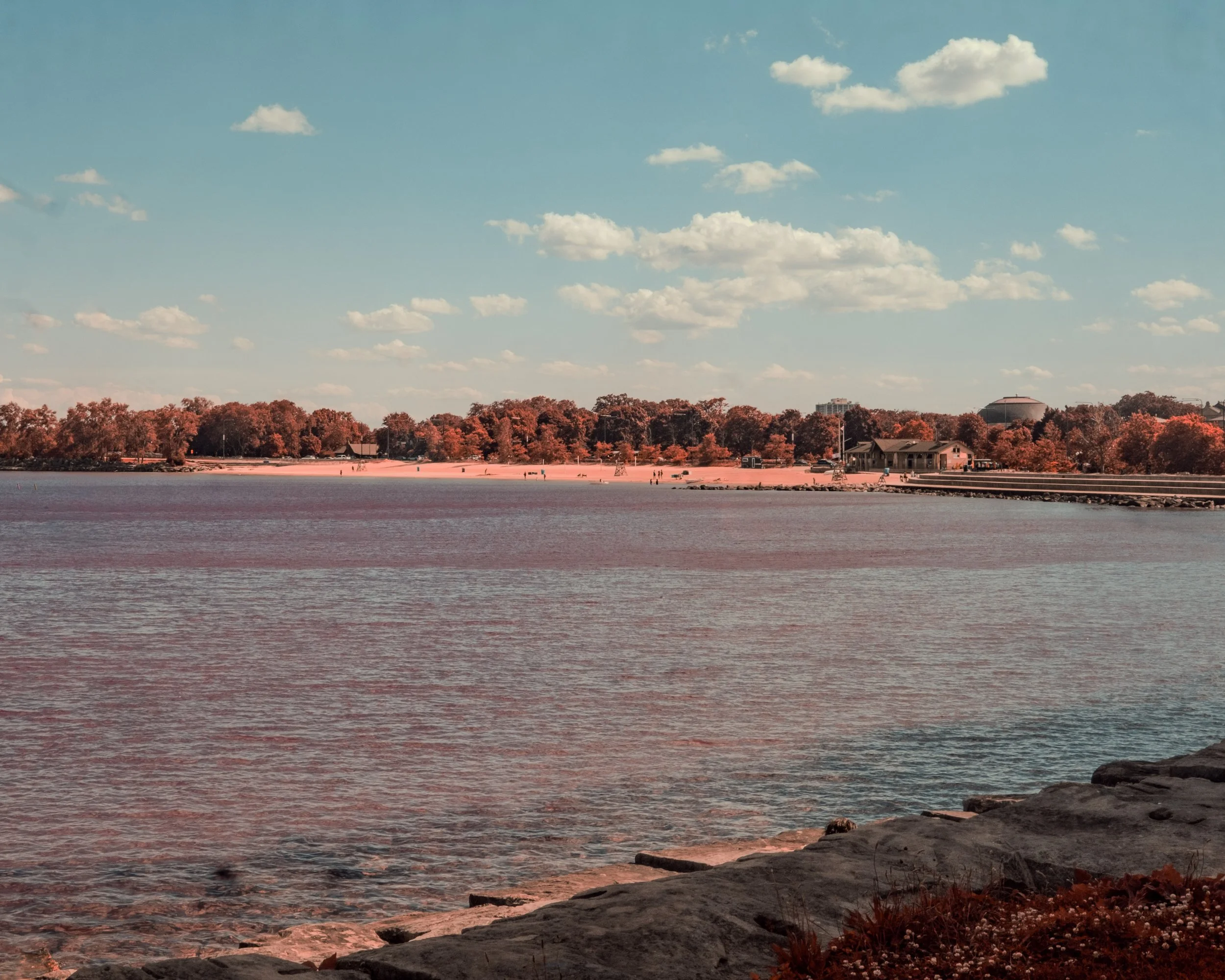 DSCF4854.jpg