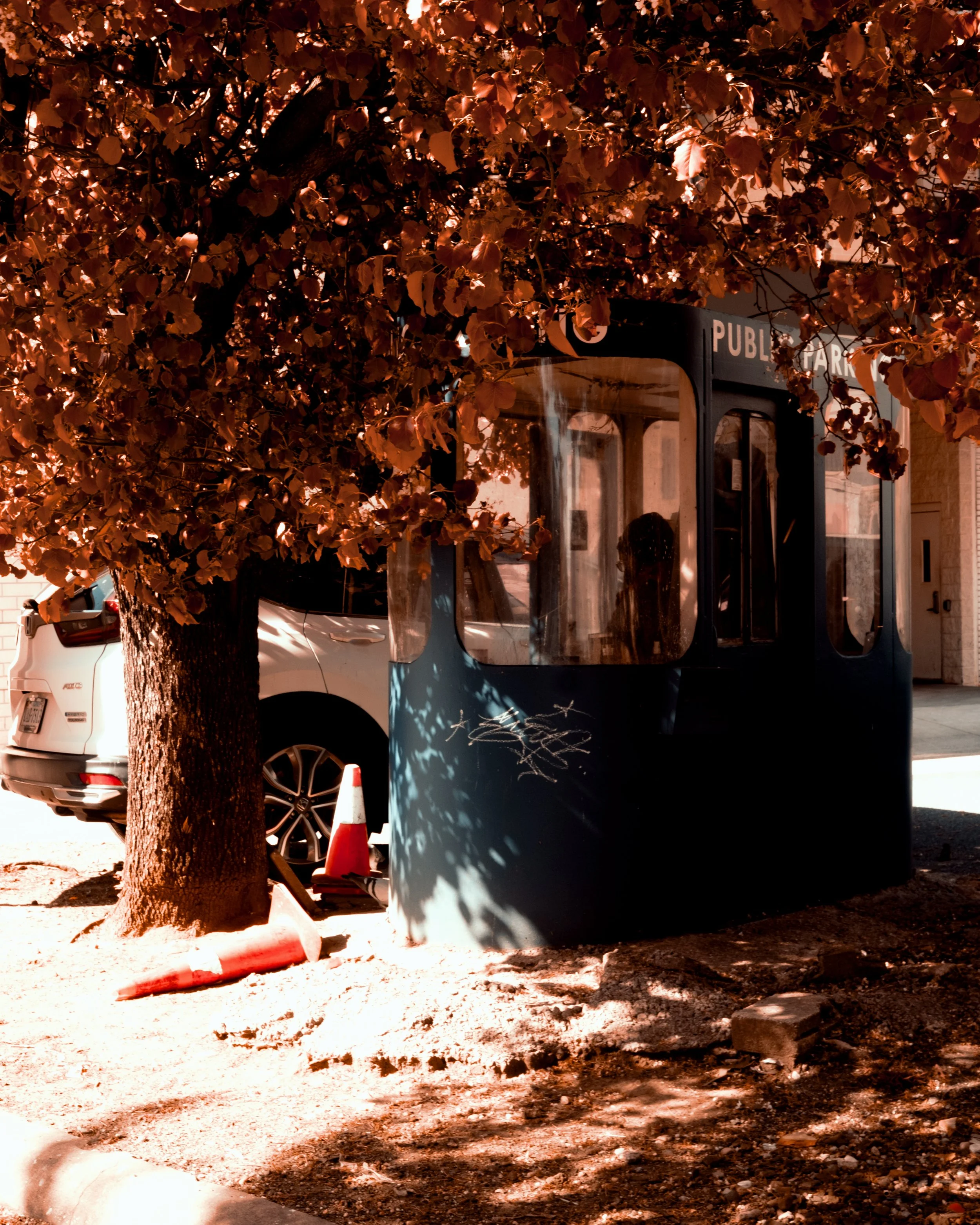DSCF3929.jpg