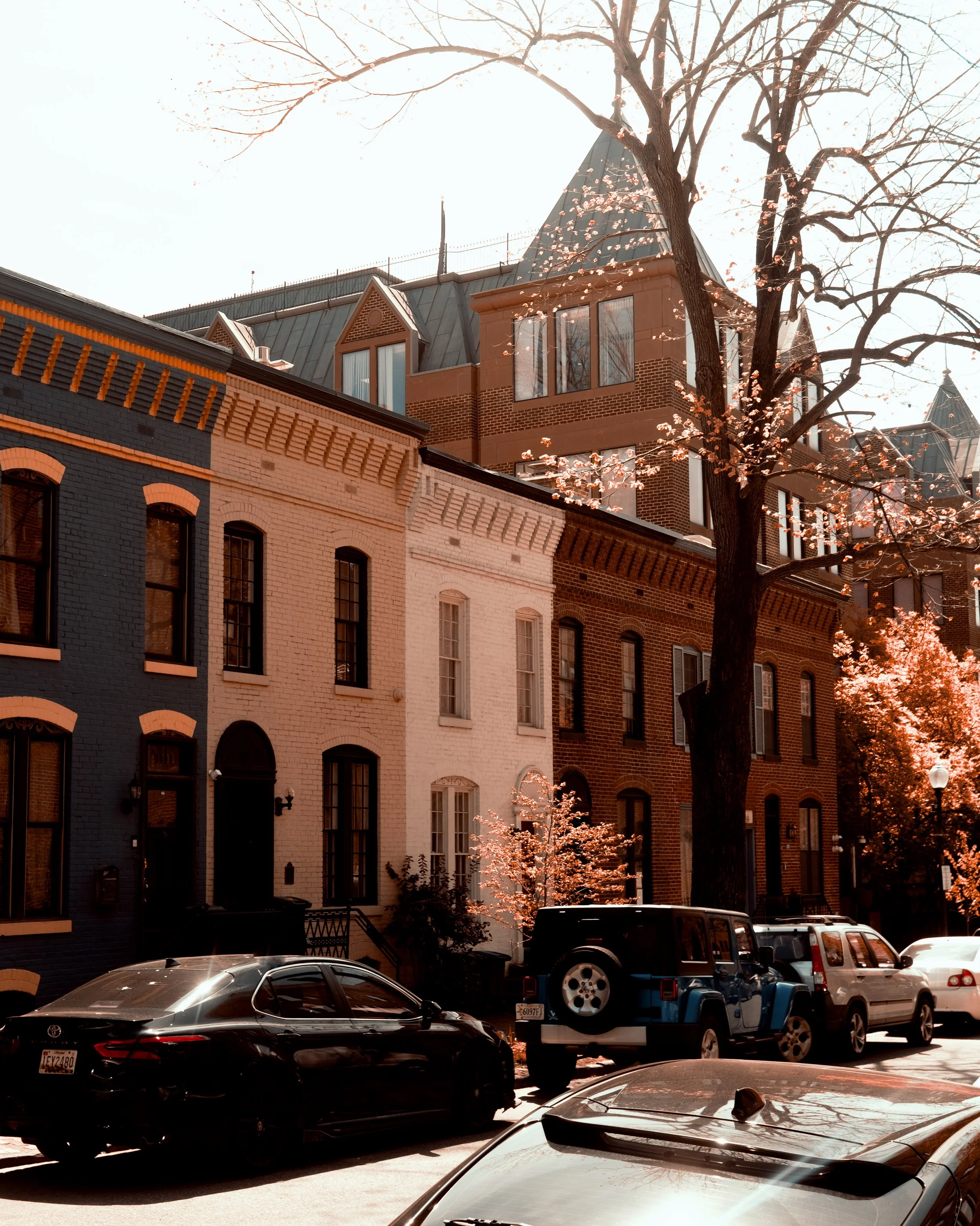 DSCF3828.jpg