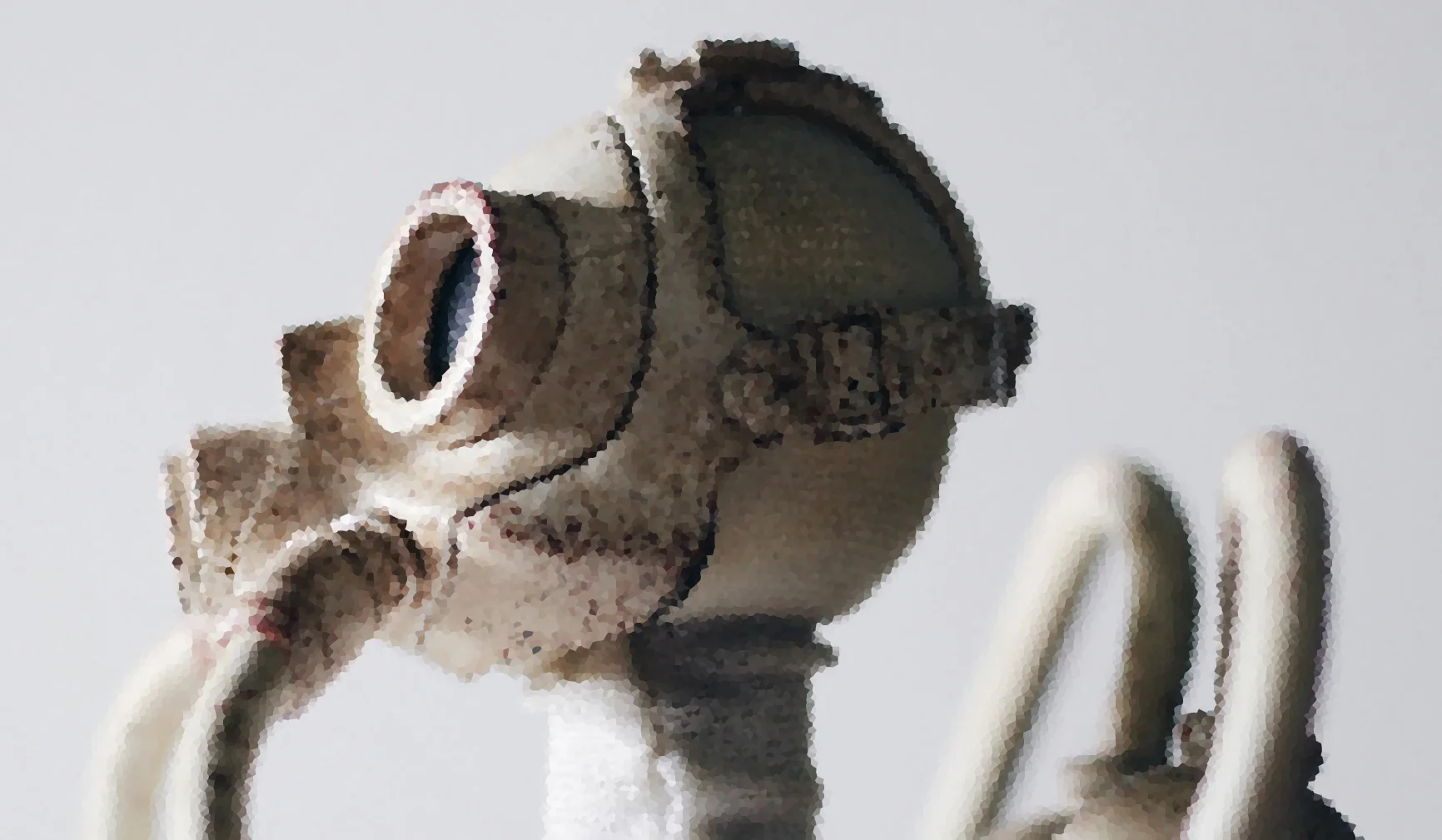 What Do We Do in a World Without Work?