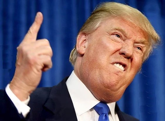 Are Americans Really This Dumb?