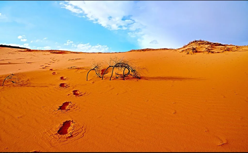 Economic Desertification 