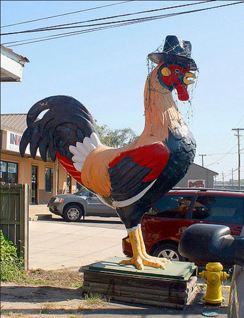 ACA: LIke Chicken Voting For Colonel Sanders