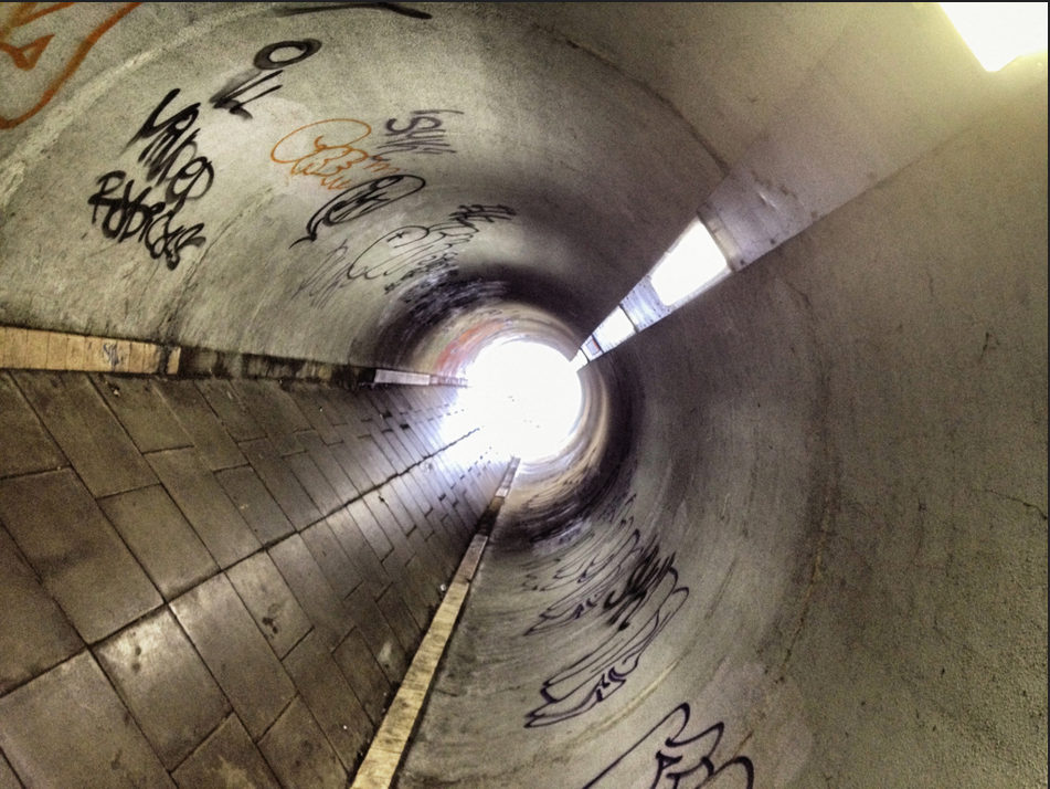 Scanning the Periphery: Is Tunnel Vision Killing Your Business?