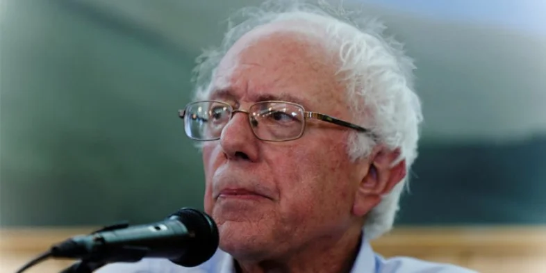 Bernie's Hair 