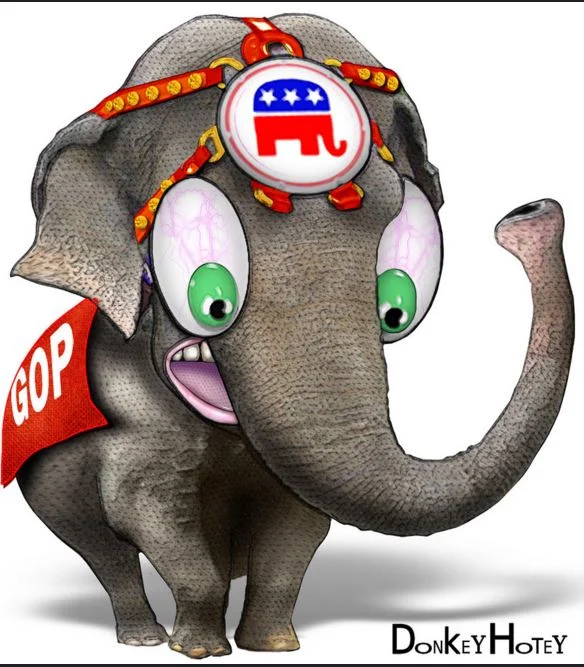 It Started With the Clown Car Candidates and Ends With the Voters.