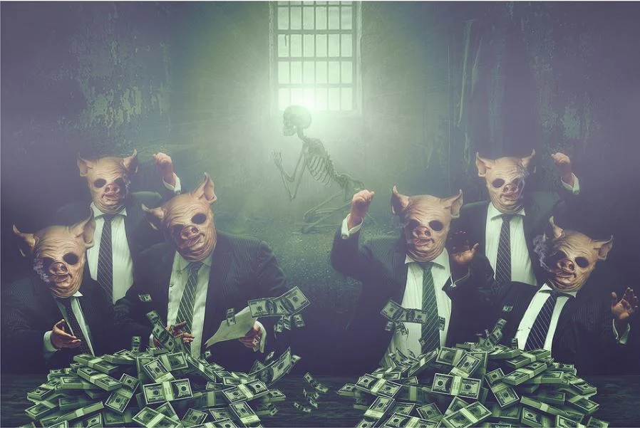 The Cognitive Dissonance of Wealth Inequality