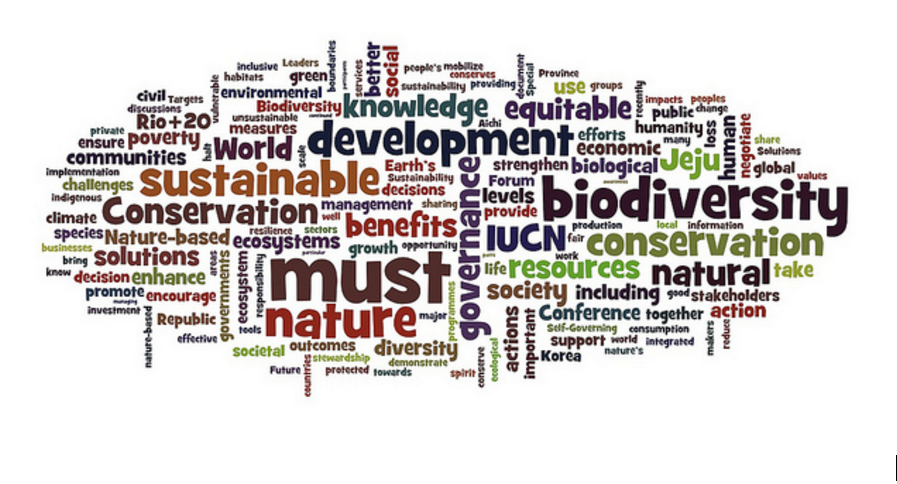 Amazing Advantages Of An Eco-Friendly Business