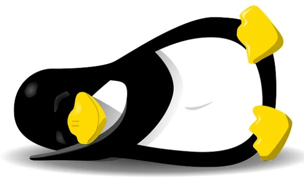 5 Things Your Business Should Know Before Switching To Linux