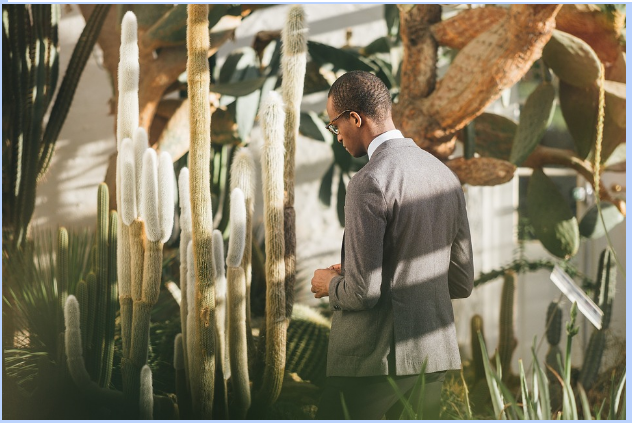 Make 2017 A Greener Year For The Business