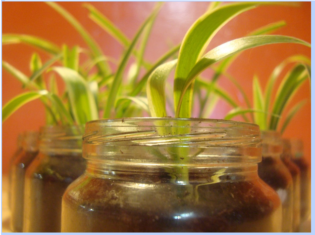 Strands Of Your Business You Need To Prepare For The Big Scale