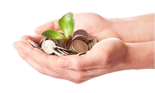 Planting The Seed: How To Effectively Grow Your Financial Prospects