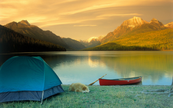 Camping Can give Your Life A Needed Boost: Here's How You Can Make The Most Of It