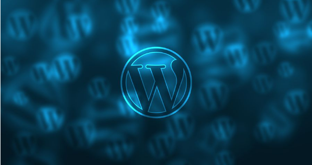 Website Wonders