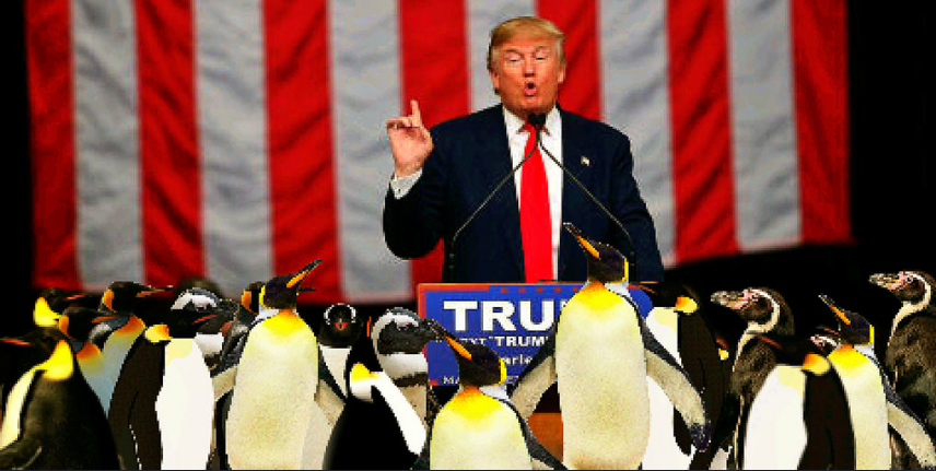 Flipping 7.4 Billion People the Bird